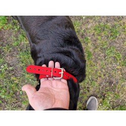 Skórzana obroża zaciskowa z Twoim napisem - czerwona